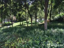 奥体轻轨站旁 森林小区 住家精装四房 采光好