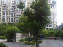 精装挑高,房子方正,保养好,诚心出售