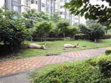 本房源中上楼层 价格可谈 可观