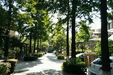 世纪风情二期 南北通透,采光好 近地铁 视野好,诚心出售