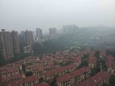 鸳鸯 复地新城就三房