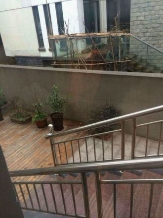 泰然南湖玫瑰湾一期实景图