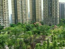 两江新区 配套成熟 交通便利 小区环境好