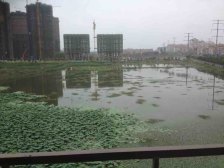 金沙逸都 南北通透,采光好 视野好,诚心出售