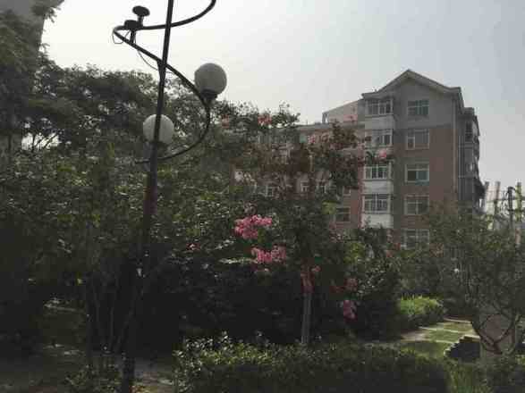 花香维也纳实景图