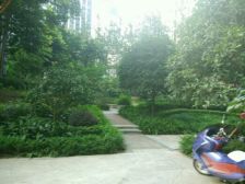 汽博品质小区,配套成熟,业主诚心,小区环境好