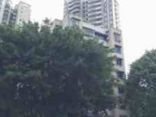 杨家坪 建工三村三房89.8万