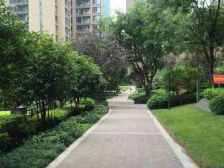 万象城商圈 单间配套 领包住 居家安静 视野开阔采光好