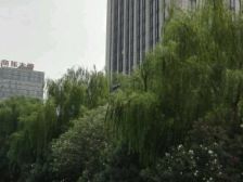 乐嘉大厦品质精装房诚意出售 看中可谈