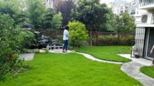 三新,5楼带阁楼,小区临河位置,视野开阔,满五年