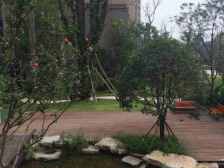 此房视野开阔,清水两房,楼层适中,看房方便视野开阔