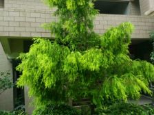 华岩新城 和泓四季E区一房27.8万