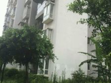 双山 盛世龙都A区一房31万