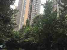 朵力尚美国际 1室1厅 东南