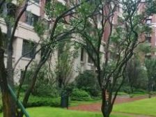 顶楼带大露台 全款证在手 随时看房