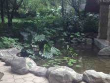 经开区 骏逸第一江岸三房