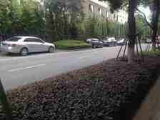 万科电梯房 出门地铁口 采光无遮挡 品质小区