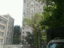 骄阳天际 1室1厅 西南