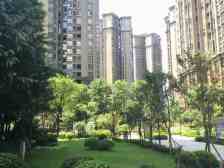 鸳鸯 复地新城就三房79.8万