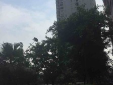 房子是正规三室二厅户型方正,业主诚心出售