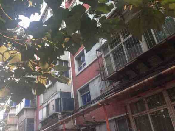 铁路59宿舍实景图