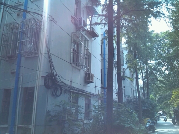 北京东路小区实景图