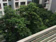 36万 石桥铺地铁口 小区内三房