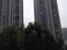 三峡广场 融汇国际温泉城B区(上筑)二房95万