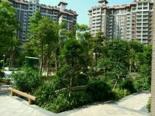 人盛巴厘天地 3室1厅 东南