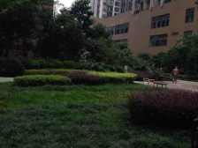 江北南桥寺环线正规一房,交通便捷,配套成熟低楼层