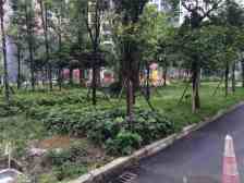 近西站,双轻轨,近商圈,近公园