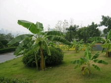 南滨路 江景小3房 精装修 视野开阔 户型好