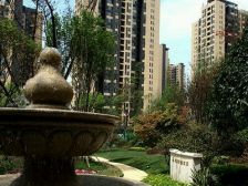 西区 泽科港城国际三房137万