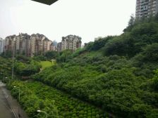 龙头寺 中渝梧桐郡A区四房248万