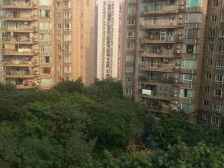 电梯小洋楼 住家舒适度高,户型方正一房使用面积大