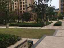 临轻轨,房龄新,居住舒适度高。