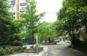 北新润苑一期3室1厅南