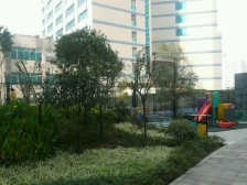 红旗河沟轻轨端户两房,采光好,配套完善