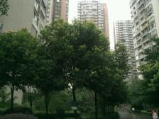 两面采光且通风好,拎包入住,双轻轨