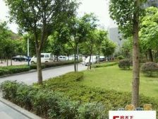 龙洲湾 颜龙山水城一房30.9万