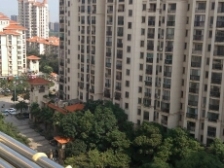 世纪风情一期 南北通透,采光好 视野好,诚心出售