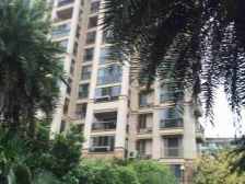 世纪风情一期 南北通透,采光好 装修好,环镜优美 周边匹套完善,,出行方便