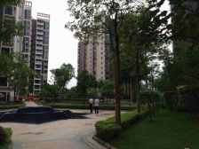 房子是中高楼层,视野开阔,望花园采光好