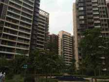 碧桂园御湖城 毛坯3房 南向大阳台 楼距开阔 格局方正