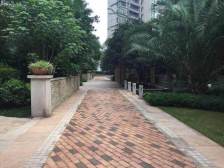 雅居乐国际花园二三期 5室2厅 东南