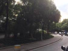 湖畔天地的景观大平层,四房三卫,全景落地窗正看公园