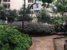 四公里 康路蓝山日记二房70万