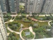 湘江世纪城星江苑实景图