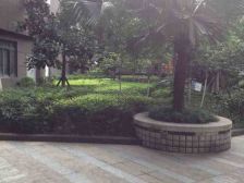 谢家湾双轻轨 刚需过度必看房 采光好 近校园