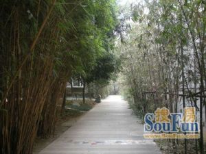 龙府花园 8室3厅 东南